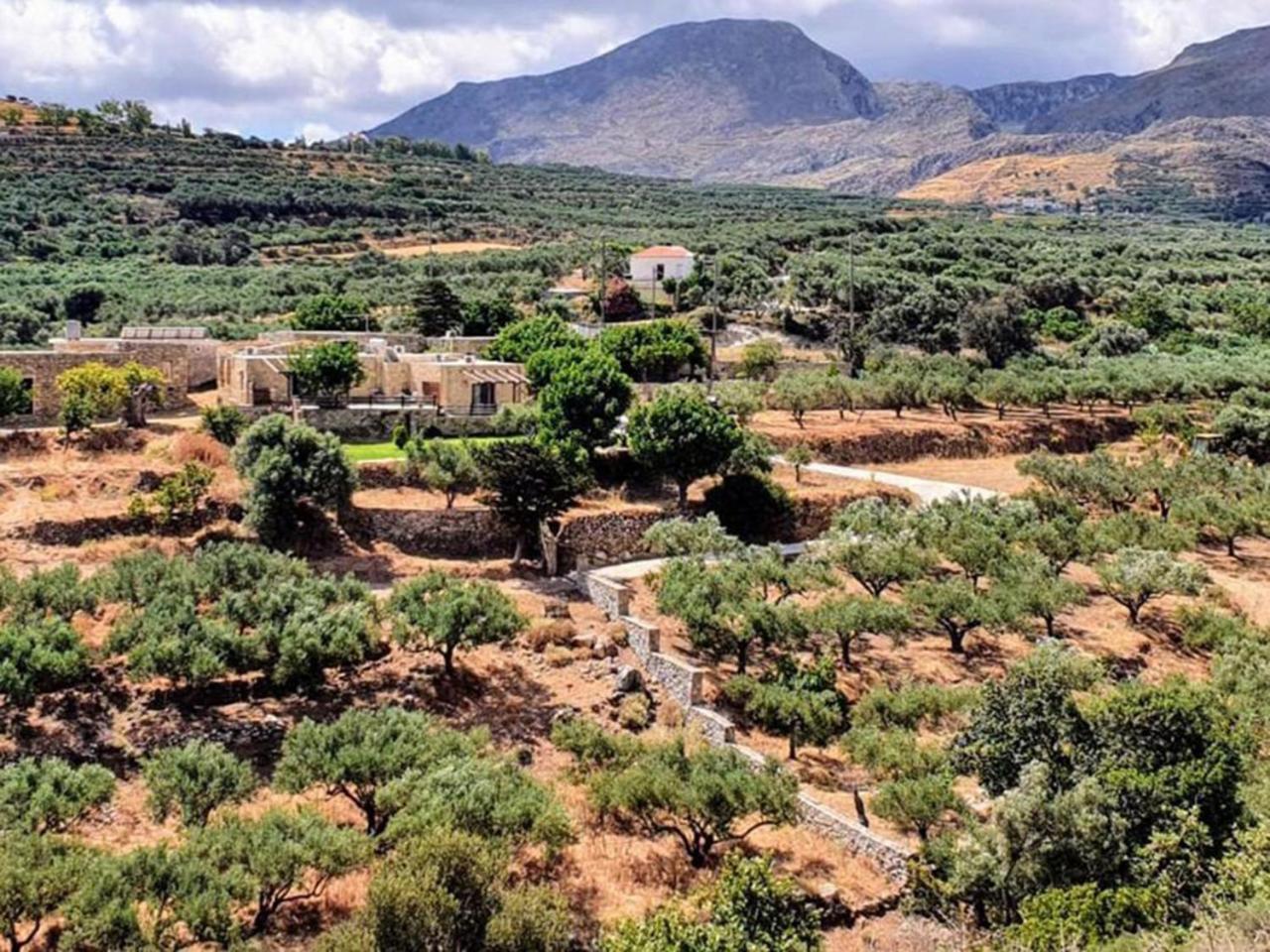 Petrakis Cretan Homes Kíssamos Exterior foto