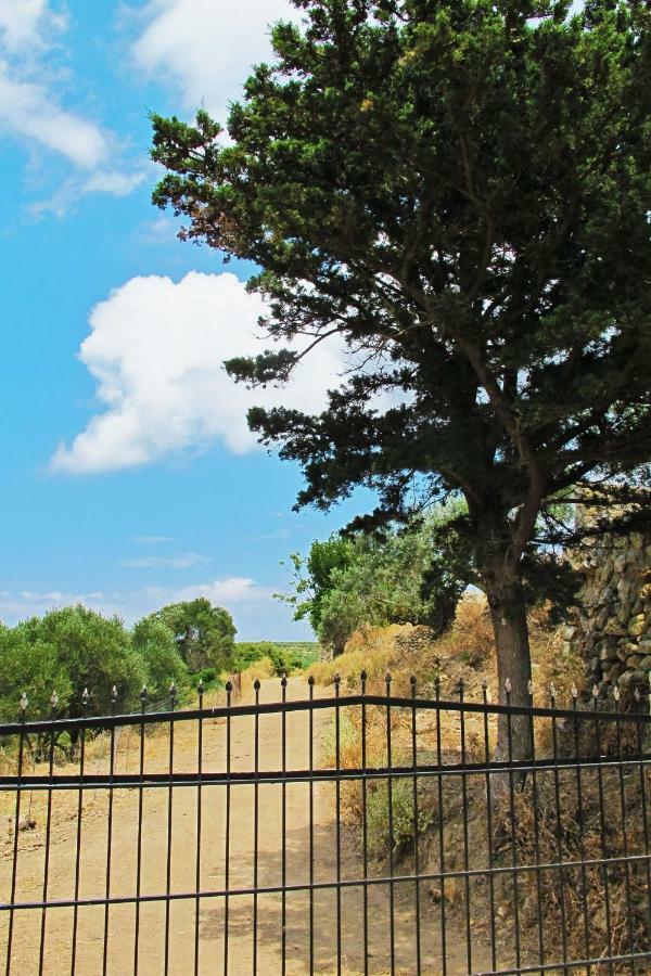 Petrakis Cretan Homes Kíssamos Exterior foto
